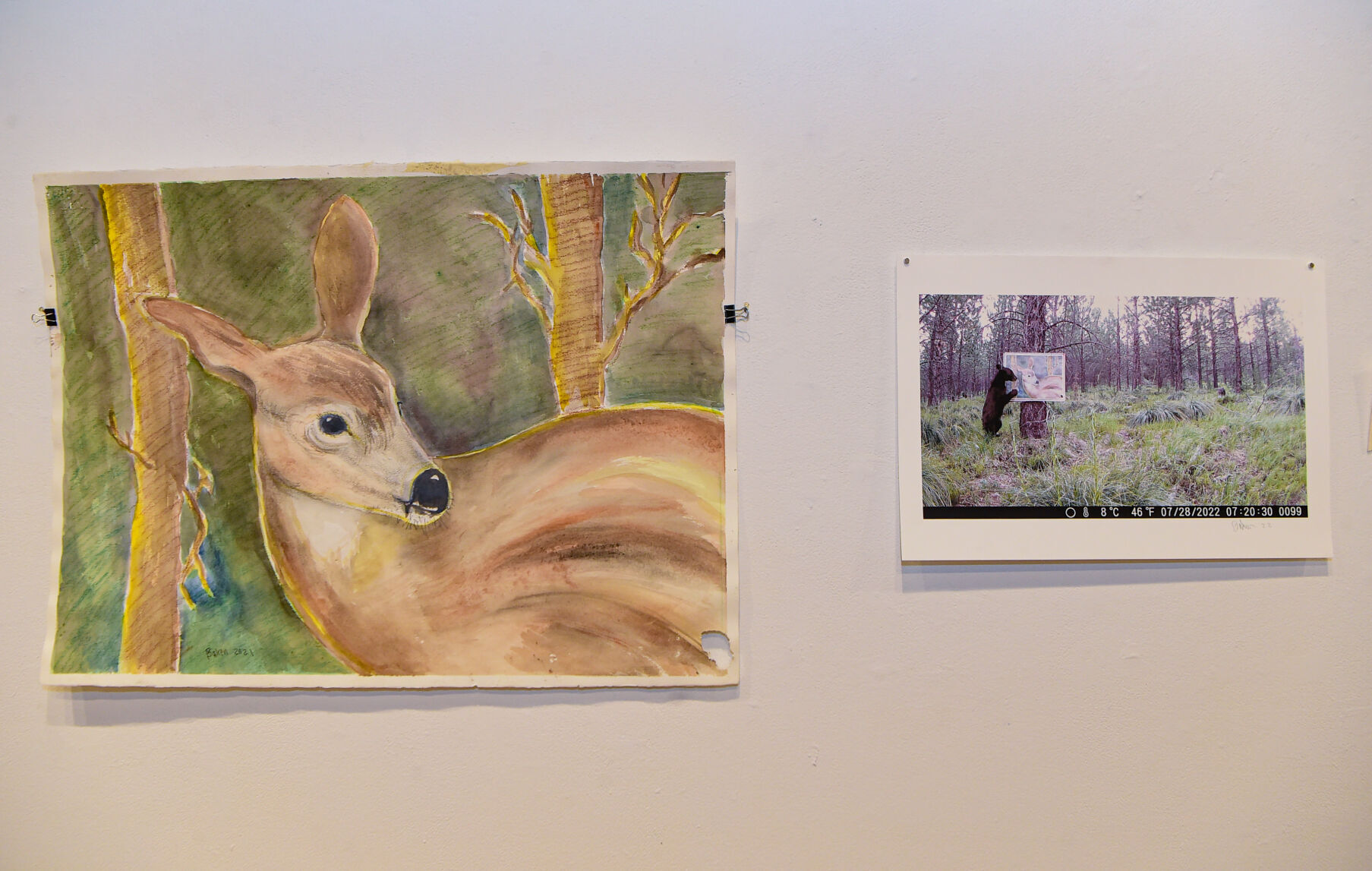 Jim Baken displays artwork for animals at Rocky